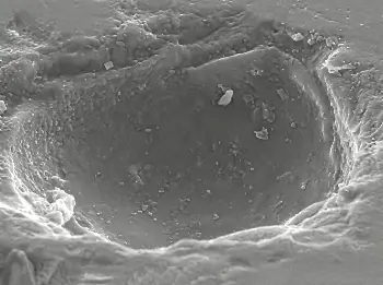 SEM Micrograph - Dopo
